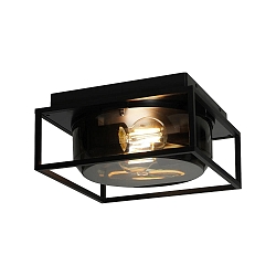 Plafonnier extérieur GRIFFIN E27 IP44, couleurs fumée 