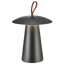 Lampe de table à accu ARA TO-GO 2 IP54, noir gradable