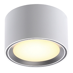 Luminaire de plafond FALLON IP20, acier bross�, blanche gradable