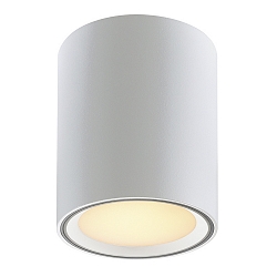 Luminaire de plafond FALLON LONG cylindrique IP20, blanche gradable