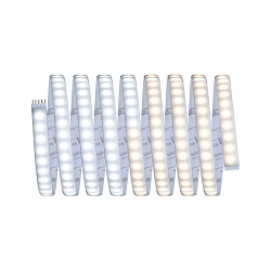 Bande LED MAXLED 1000 argent