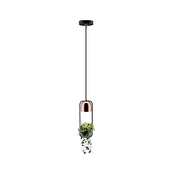 Luminaire � suspension NEORDIC URBAN JUNGLE FANJA GU10 IP20, cuivre, noir  gradable
