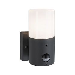 Luminaire mural d�ext�rieur TUBS cylindrique, commutable E27 IP44, gris, mat
