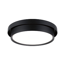 Luminaire de plafond MALIK IP20, mat, noir gradable