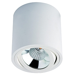 Luminaire de surface MELIMAR COB rond, pivotant IP20, transparent, blanche, laqu�
