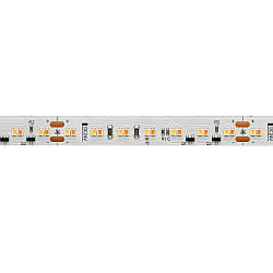 LED Strip DIM-TO-WARM