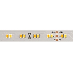 LED Strip TW