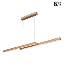 LED pendant luminaire SMAL DOUBLE, 2-flame, 120cm, 22.5W 3000K 2100lm, with touch dimmer, oiled oak