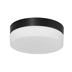 Plafonnier extérieur IKARO rond, cylindrique, médium IP44, acier brossé gradable