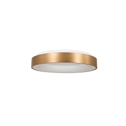 Luminaire de plafond RINGLEDE - Ø 30CM petit, rond, direct / indirect IP20, or mat gradable