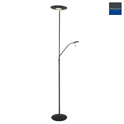 Steinhauer Floor lamp ZODIAC LED, 2 flames, with reading arm adjustable, black