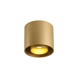 Luminaire de plafond RAY CEILING SURF 1.0 � 1 flamme, contr�lable par DALI IP20, champagne gradable