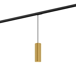1- Luminaire � suspension monophas� RAY ON TRACK 2.0 - PAR16 cylindrique, court, avec adaptateur GU10 IP20, or gradable