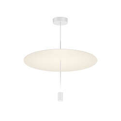 Luminaire à suspension SHEDDA 1.0 IP20, Live Simple gradable