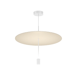 Luminaire à suspension SHEDDA 1.0 IP20, gris soie gradable