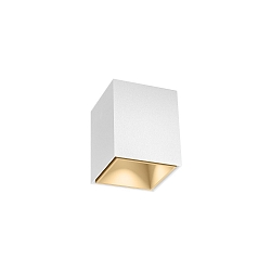 downlight BOX MINI 1.0 square, surface-mounted version IP20, champagner dimmable