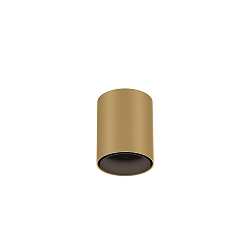 downlight RAY MINI 1.0 down, cylindrical, surface-mounted version IP20, champagner dimmable