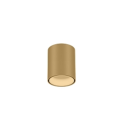 downlight RAY MINI 1.0 down, cylindrical, surface-mounted version IP20, champagner dimmable