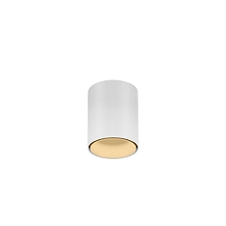 downlight RAY MINI 1.0 down, cylindrical, surface-mounted version IP20, white matt dimmable