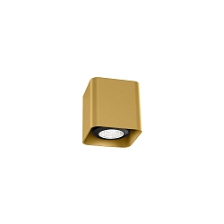 Spot DOCUS MINI CEILING SURF 1.0 PAR16 GU10 IP20, or 