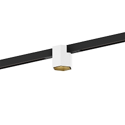 Projecteur sur rail HEXO ON STREX 1.0 avec adaptateur IP20, or, noir mat, blanc mat gradable