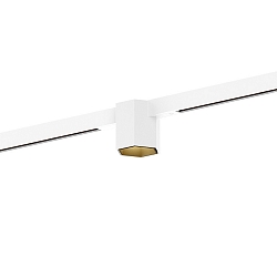 Projecteur sur rail HEXO ON STREX 1.0 avec adaptateur IP20, or, blanc mat gradable