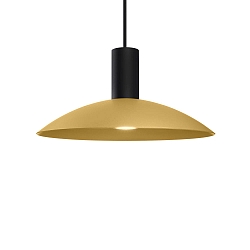 Luminaire à suspension ODREY CEILING SUSP 1.8 PAR16 GU10 IP20, or, noir mat 