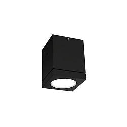 Plafonnier extérieur TUBE 1.0 IP65, noir gradable