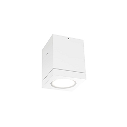 Outdoor LED Ceiling luminaire TUBE 1.0, IP65, 8W 3000K 38°, CRi >90, dimmable, white
