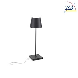 Lampe de table  POLDINA PRO CCT Switch IP65, gris fonc gradable