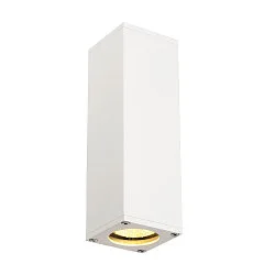 Luminaire mural THEO UP/DOWN QPAR51 GU10, blanche
