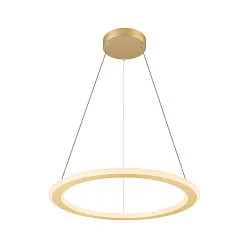 Luminaire à suspension ONE FLAT PD SINGLE PHASE CCT Switch, forme de l'anneau IP20, laiton gradable