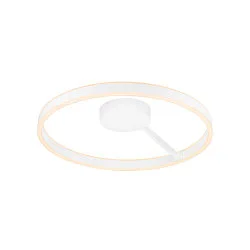wall and ceiling luminaire ONE DALI Ø60CM up / down, DALI controllable, CCT Switch, ring shape IP20, white dimmable