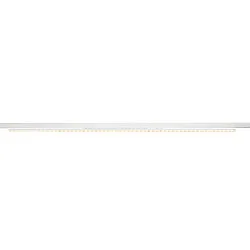 Projecteur triphasé SIGHT EASY 41-66W DALI rigide, contrôlable par DALI, asymétrique, multipower IP20, blanche gradable