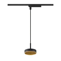 Luminaire à suspension monophasé GRIP! FLAT Bas, sans abat-jour, CCT Switch IP20, or, noir gradable
