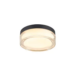 wall and ceiling luminaire CYFT XL IP65, black, lacquered dimmable