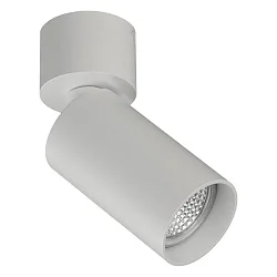 Spot ZOOM 3764/10  réglable GU10 IP20, opale, blanche gradable