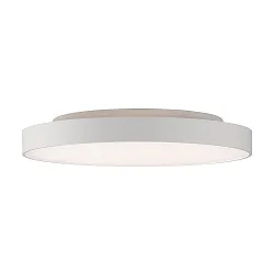 ceiling luminaire ROMA 3974/60 with diffuser IP20