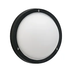 Luminaire mural d'extérieur TYPE NO 6328 IP44, opale, noir  gradable