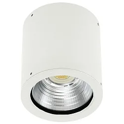 LED Outdoor Ceiling spot Type No. 2380, 12W 1200lm, white matt
