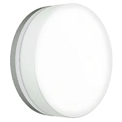 Outdoor LED Wall and Ceiling luminaire Type No. 6308, IP65, Ø 25cm, 24W 3000K 2400lm, silver matt / glass opal