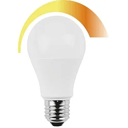 Ampoule à filament forme standard A60 CCT Switch, dimmable E27 10W 806lm 3000-2000K 200° CRI > 80 gradable
