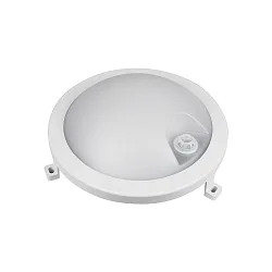 Luminaire pour locaux humides BASIS FIX SENSOR rond IP54, gris 