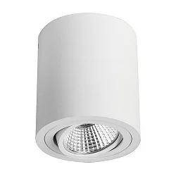 Downlight rond, pivotant IP20