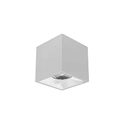 Downlight APOLLO MAXI angulaire, lisse, contrôlable par DALI IP20, couvert de poudre, argent gradable