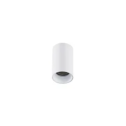 Downlight TOMEK à 1 flamme, cylindrique, version pour montage en surface GU10 IP20, blanc mat gradable