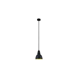 Luminaire à suspension DAPHNE à 1 flamme E27 IP20, noir mat gradable