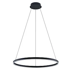 Luminaire à suspension GRAHAM 1 voie, forme de l'anneau IP20, noir mat gradable