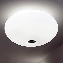 Luminaire de plafond AIH grand E27 IP20, aluminium brossé, blanc mat gradable