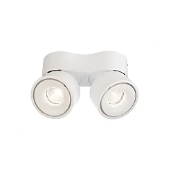 Luminaire de plafond UNI II DOUBLE TILT à 2 flammes, pivotant à la cardan IP20, blanche gradable